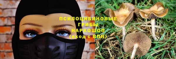 2c-b Нефтекумск