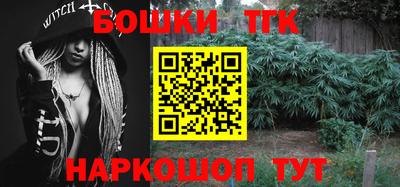 индика Абакан