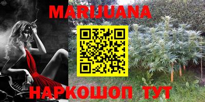 индика Абакан