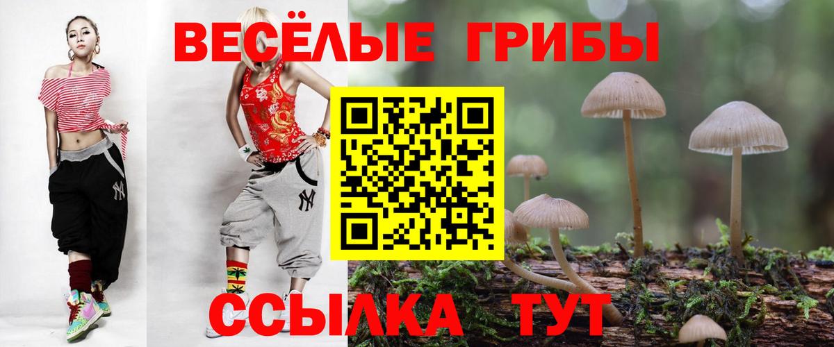 Псилоцибиновые грибы GOLDEN TEACHER  Вход с VPN  Анжеро-Судженск 
